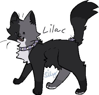Lilac (Art by LilyTheFox)